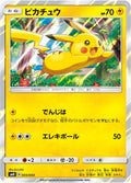 Pikachu (JP) - Pikachu's New Friends (4/4)