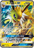 Jolteon-GX (JP) - Flareon-GX, Vaporeon-GX & Jolteon-GX Starter Sets (13/38)
