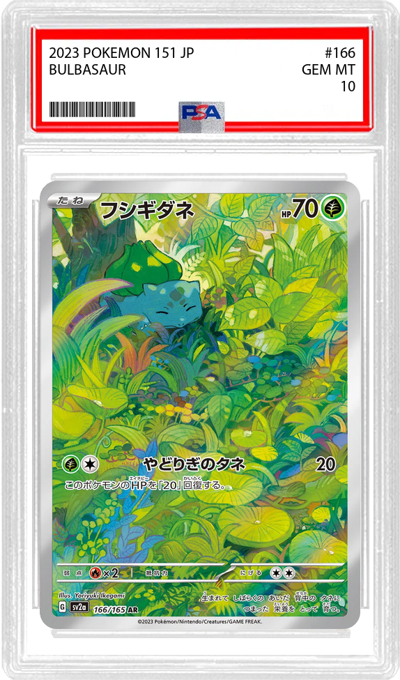 Slab Image