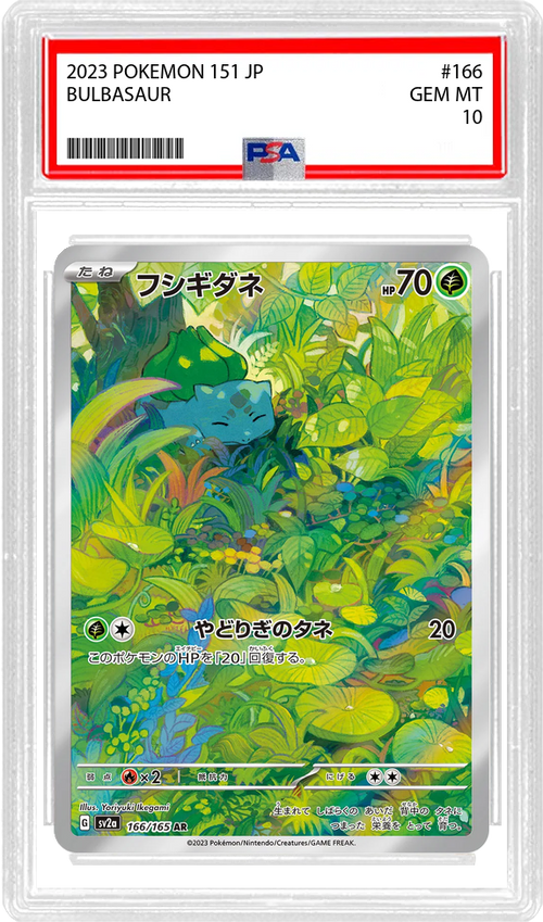Slab Image