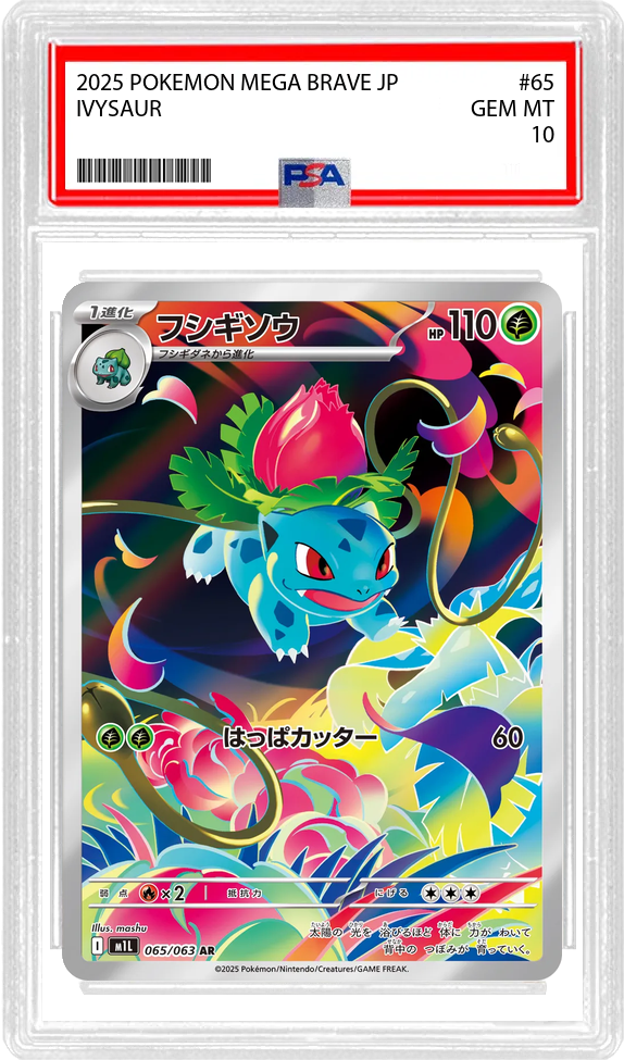 Slab Image