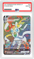 Slab Image